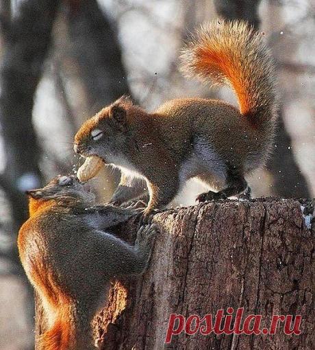 Мой Мир@Mail.Ru