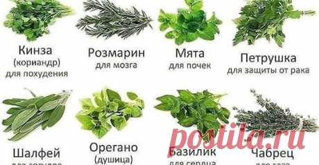 (3) Facebook