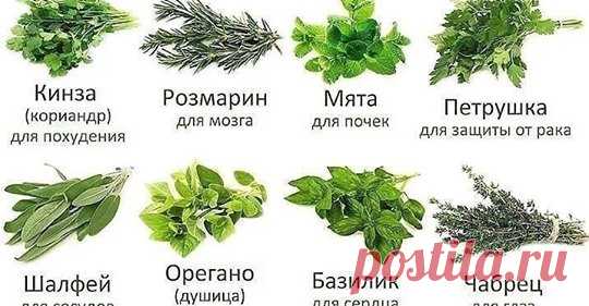 (3) Facebook