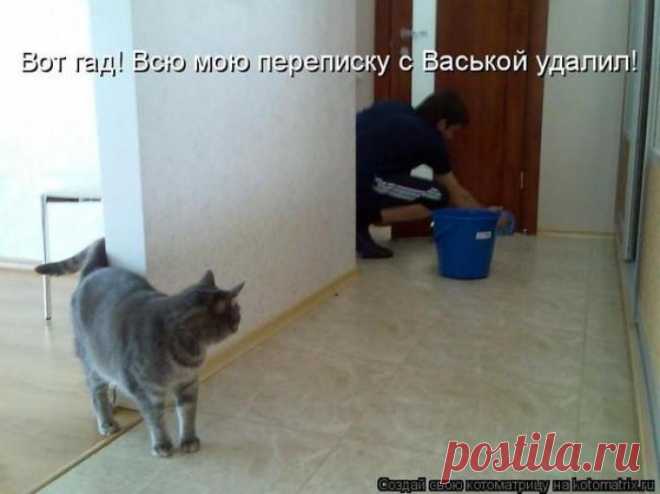 Удалил переписку.
