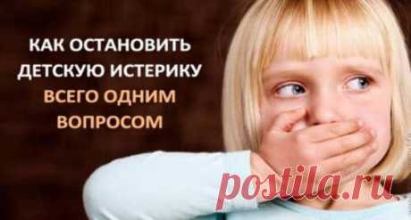 Как остановить детскую истерику &amp;raquo; Женский Мир