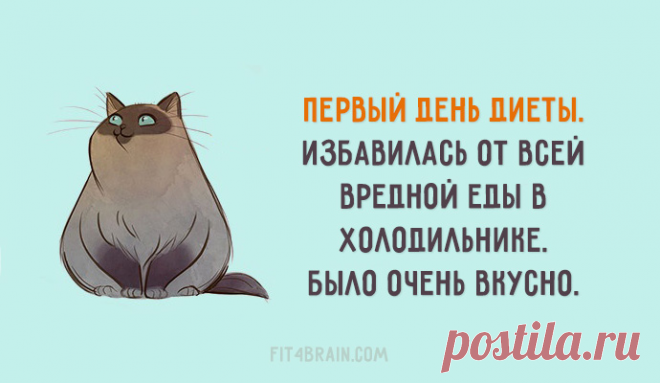В Новый год – с новой фигурой 💪