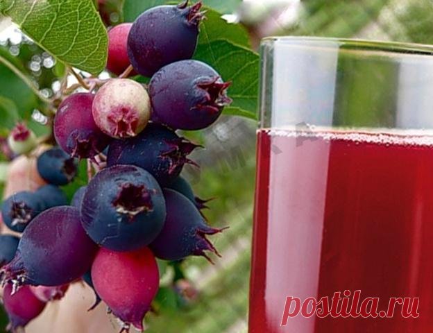 Каждый день новые рецепты
