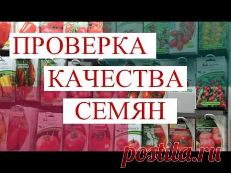 Анонс Нового Проекта &quot;Проверка качества семян&quot;. - YouTube