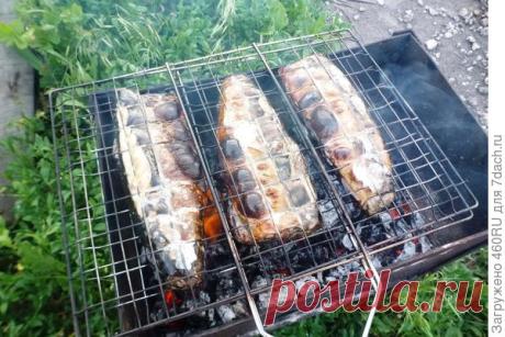 Скумбрия и молодые кабачки, запеченные на углях. Пошаговый рецепт приготовления с фото