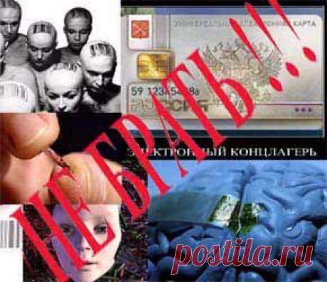 Биометрический паспорт | Записи в рубрике Биометрический паспорт | Дневник Наталии Трофимовой