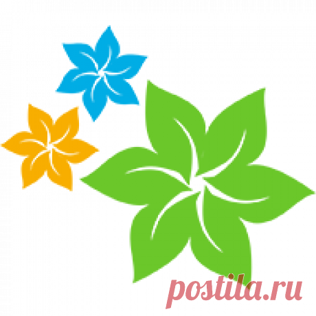 Горячий душ для комнатных растений