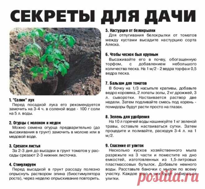 Секреты для дачи