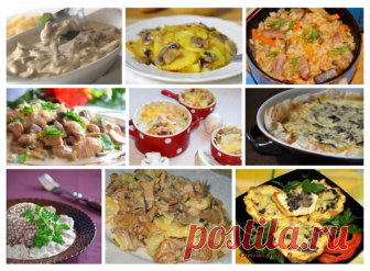 Вкусные блюда из грибов: 10 рецептов