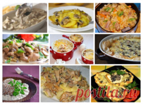 Вкусные блюда из грибов: 10 рецептов
