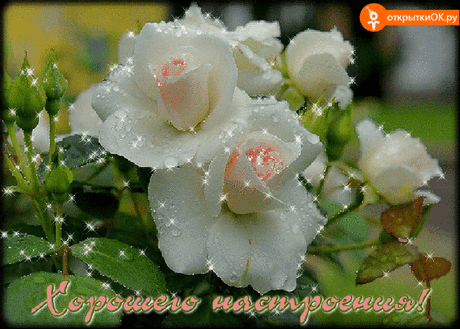 Музыкальная открытка хорошего настроения - Бесплатные Открыки на otkritkiok.ru