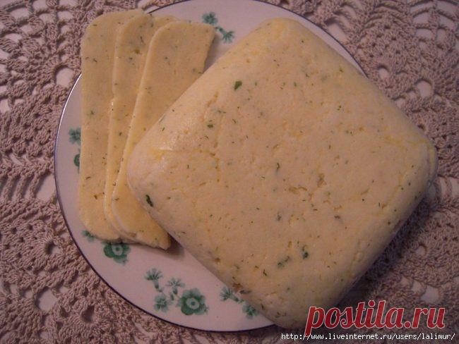 Домашний сыр .
