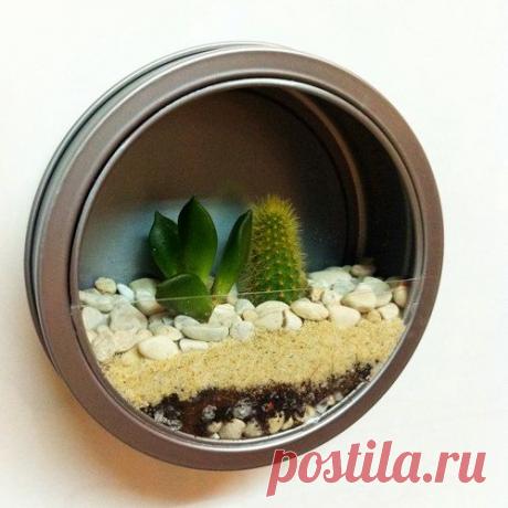 Mini magnetic terrariums
