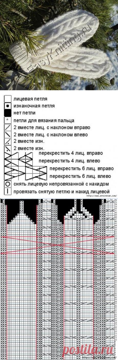 Вязание спицами варежек со жгутами + видео