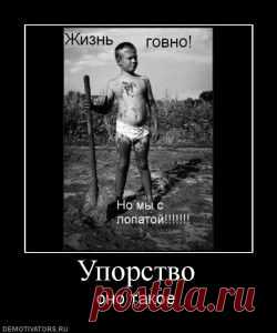Хочешь Сжечь ЖИР? Выбери себе диапозоп повторений. | Блог Ярослава Брина