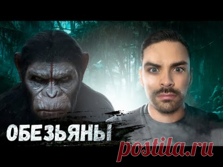 Обезьяны. 10 Интересных Фактов - YouTube