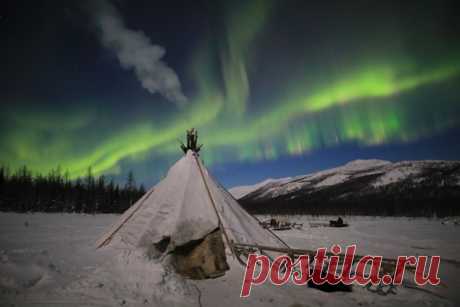 «Где в чумах печи изумрудами топили...» Фотозарисовка Егора Никифорова (nat-geo.ru/community/user/35887/) из поездки к кочевникам-оленеводам – ненцам. Волшебной ночи.