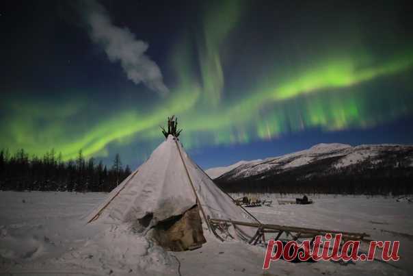 «Где в чумах печи изумрудами топили...» Фотозарисовка Егора Никифорова (nat-geo.ru/community/user/35887/) из поездки к кочевникам-оленеводам – ненцам. Волшебной ночи.
