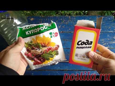 Как навсегда избавиться от вони из уличных туалетов и канализации - YouTube