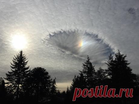 GISMETEO.RU: Радужное ложное солнце выглядывает из облачного просвета: фото - 1 февраля 2019 | События | Новости погоды.