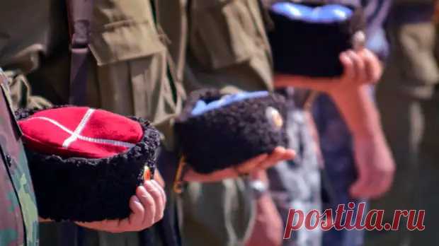 Казачьи лампасы раздора: В Казахстане хотят поставить русских на колени? - Медвежий угол - медиаплатформа МирТесен