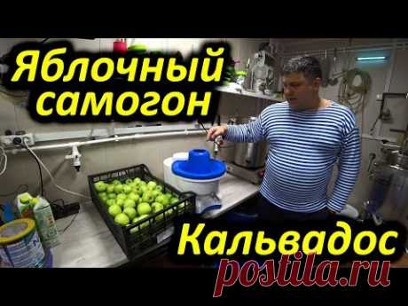 Алкокухня: Яблочный Самогон или Кальвадос в домашних условиях