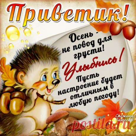 Новости