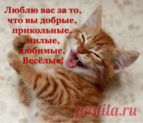 Для людей, потерявших надежду на успех: