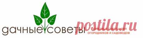 Дачные хитрости. Помощники садовода, из АПТЕКИ.