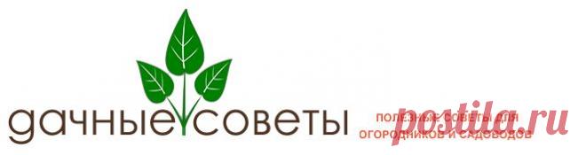 Дачные хитрости. Помощники садовода, из АПТЕКИ.
