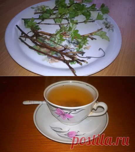 Экономный и полезный чай
