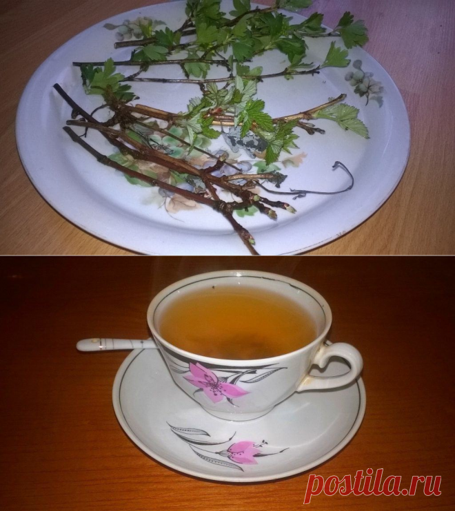 Экономный и полезный чай