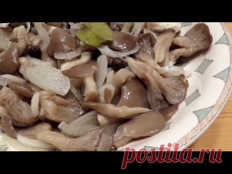 Маринованные вешенки