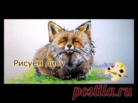 Как нарисовать лису(подробное видео)