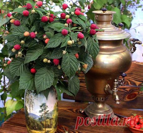 Плейкаст «ДЛЯ ДРУЗЕЙ !!! С ЛЮБОВЬЮ !!!»У мудреца спросили:

— Сколько видов дружбы существует?

— Четыре — ответил он. —

Есть друзья, как еда — каждый день ты нуждаешься в них.

Есть друзья, как лекарство, ищешь их, когда тебе плохо.

Есть друзья, как болезнь, они сами ищут тебя.

Но есть такие друзья, как воздух — их не видно, но они всегда с тобой.