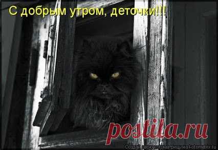 Кофейня 
