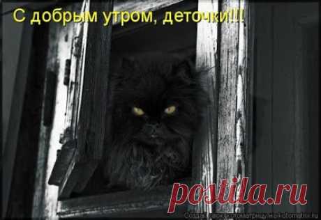 Кофейня "Три метлы"