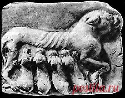 (80) Одноклассники