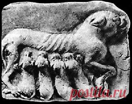 (80) Одноклассники