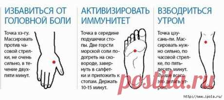 Три точки от головной боли