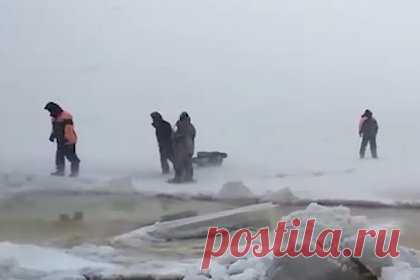 Срывающий строительные леса штормовой ветер в Петербурге показали на видео. На Санкт-Петербург обрушилась непогода: в городе снегопад и порывы ветра до 18 метров в секунду. Штормовой ветер снес часть строительных лесов на Малом проспекте Петроградской стороны, а в Мурино — опрокинул остановку. Из-за плохих погодных условий начались массовые ДТП.