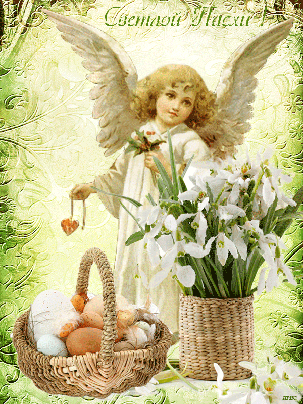 Поздравительные открытки 