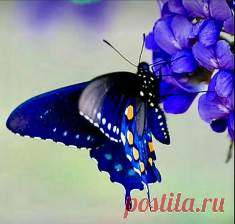 в Яндекс.Коллекциях