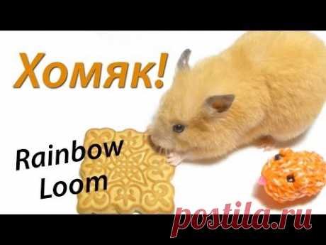 3D Хомяк из Rainbow Loom Bands. Урок 60