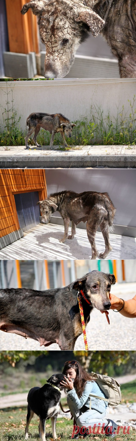 (47) Одноклассники