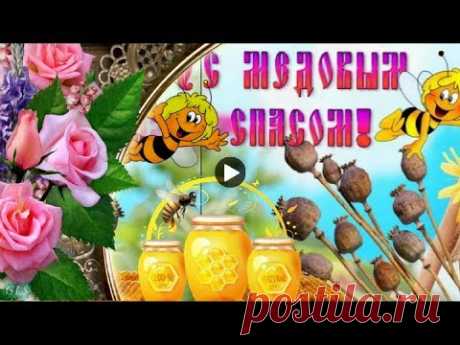 🐝 Медовый Спас 🐝 Красивое поздравление с медовым спасом🐝  Музыкальные Видео открытки #gluser