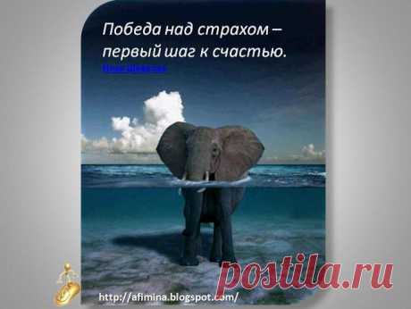 Лицо бизнеса