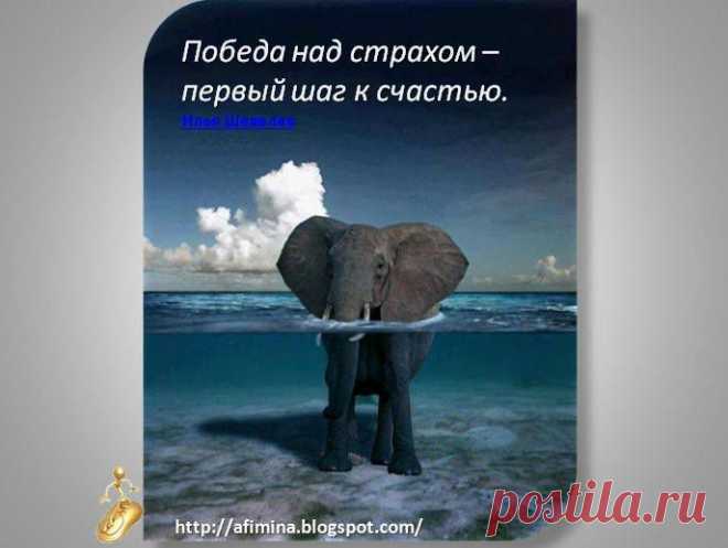 Лицо бизнеса
