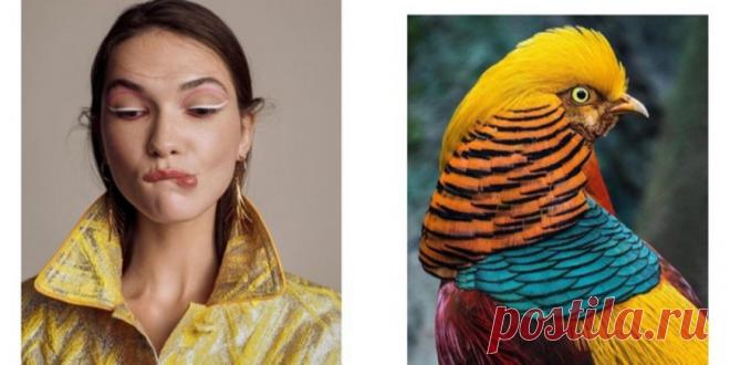 (+1) Плохие черты характера, которые нам помогают : Заметки : Стиль жизни : Subscribe.Ru