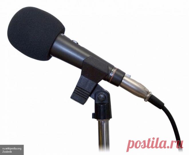 Власти ФРГ не стали комментировать сведения о шпионаже BND за рубежом | Федеральное агентство происшествий